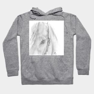 horse eye Hoodie